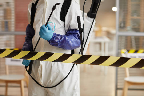 Professional Hoarding Cleanup technician working in Stamford, TX